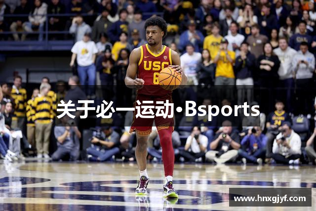 关于必一运动·Bsports